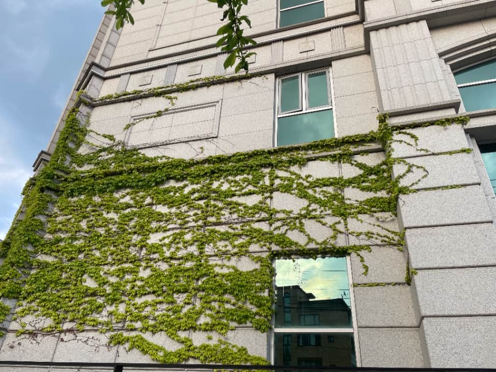 ZAIIT - 명성교회 GCC에서 공유된 사진 1