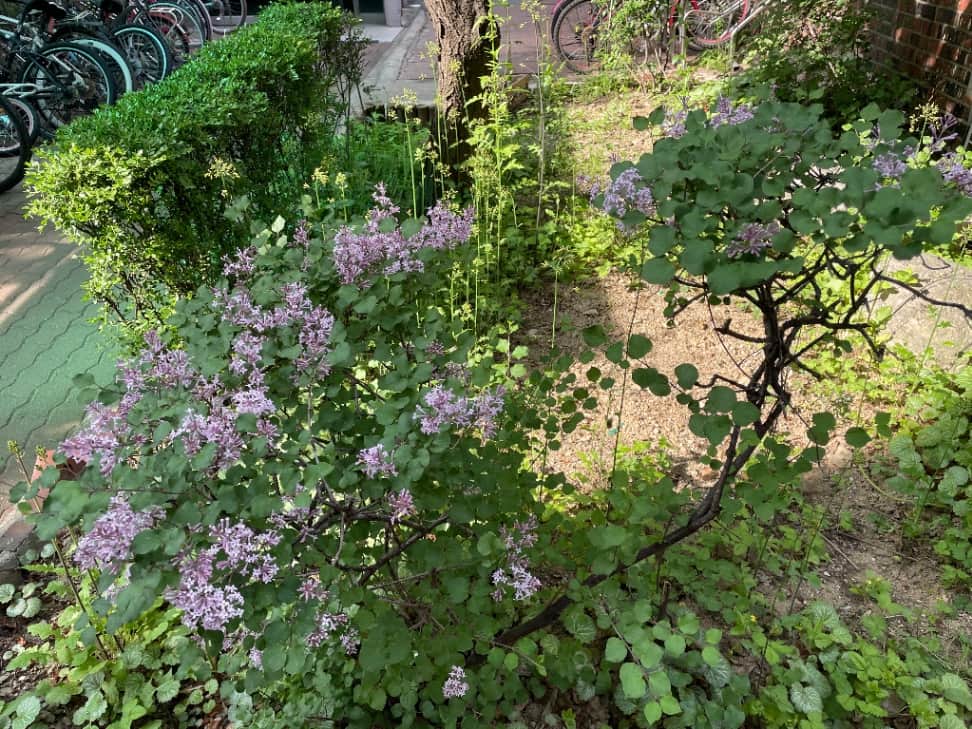 ZAIIT - 명일현대아파트에서 공유된 사진 1