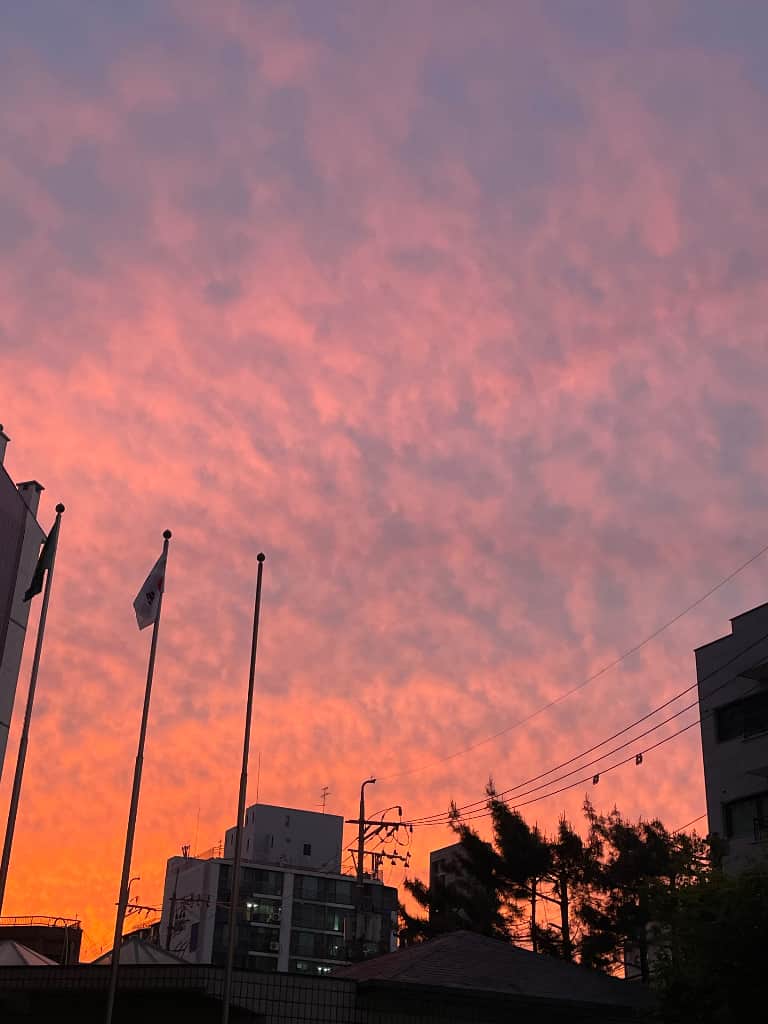 ZAIIT - 명일지에스아파트 102동에서 공유된 사진 1