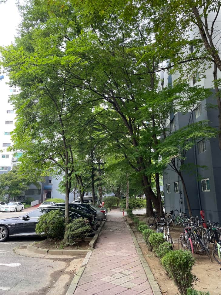 ZAIIT - 고덕주공9단지아파트 914동에서 공유된 사진 1