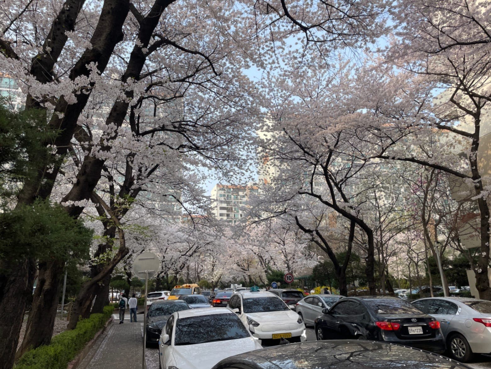 ZAIIT - 삼익그린맨션2차아파트에서 공유된 사진