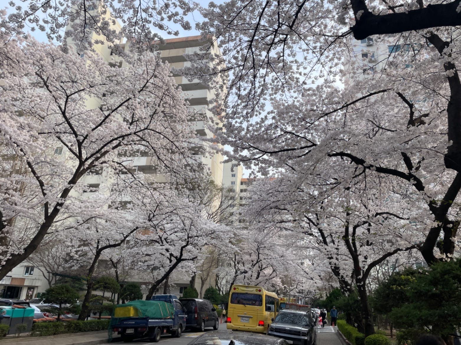 ZAIIT - 삼익그린맨션2차아파트에서 공유된 사진