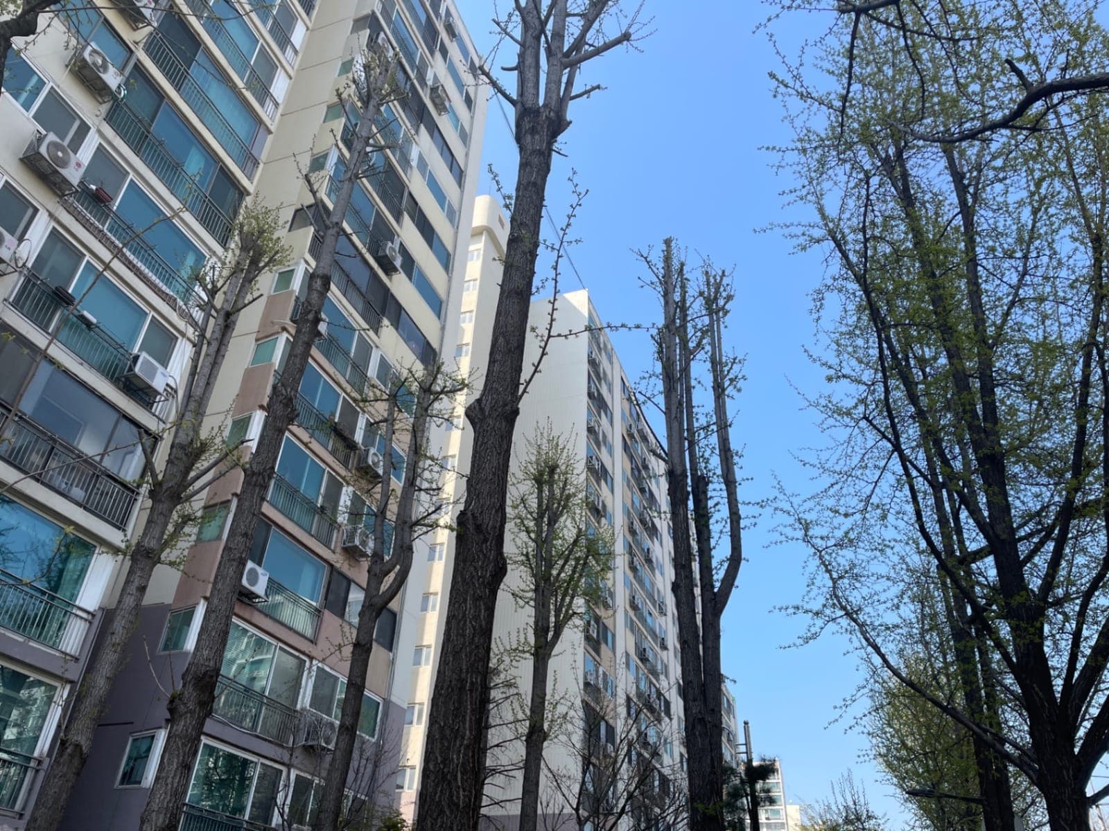 ZAIIT - 명일현대아파트에서 공유된 사진