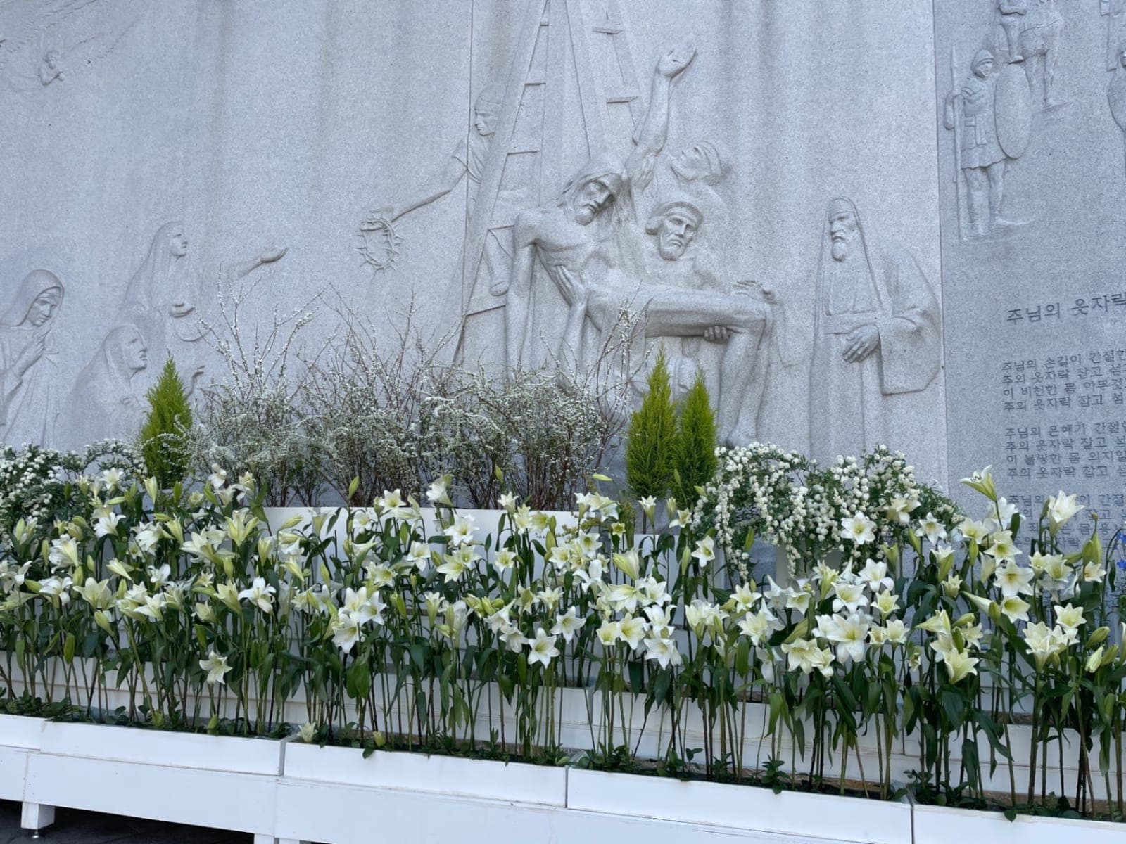 ZAIIT - 명성교회 예루살렘성전에서 공유된 사진