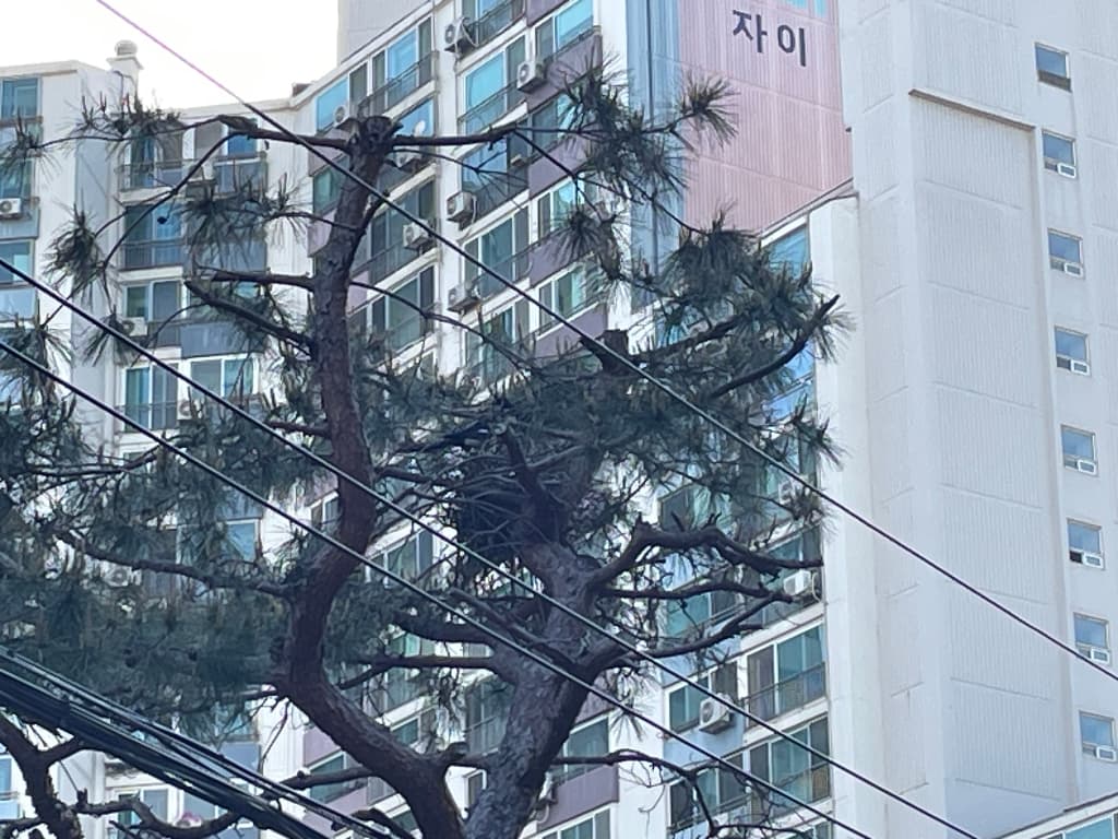 ZAIIT - 명일지에스아파트 102동에서 공유된 사진 2