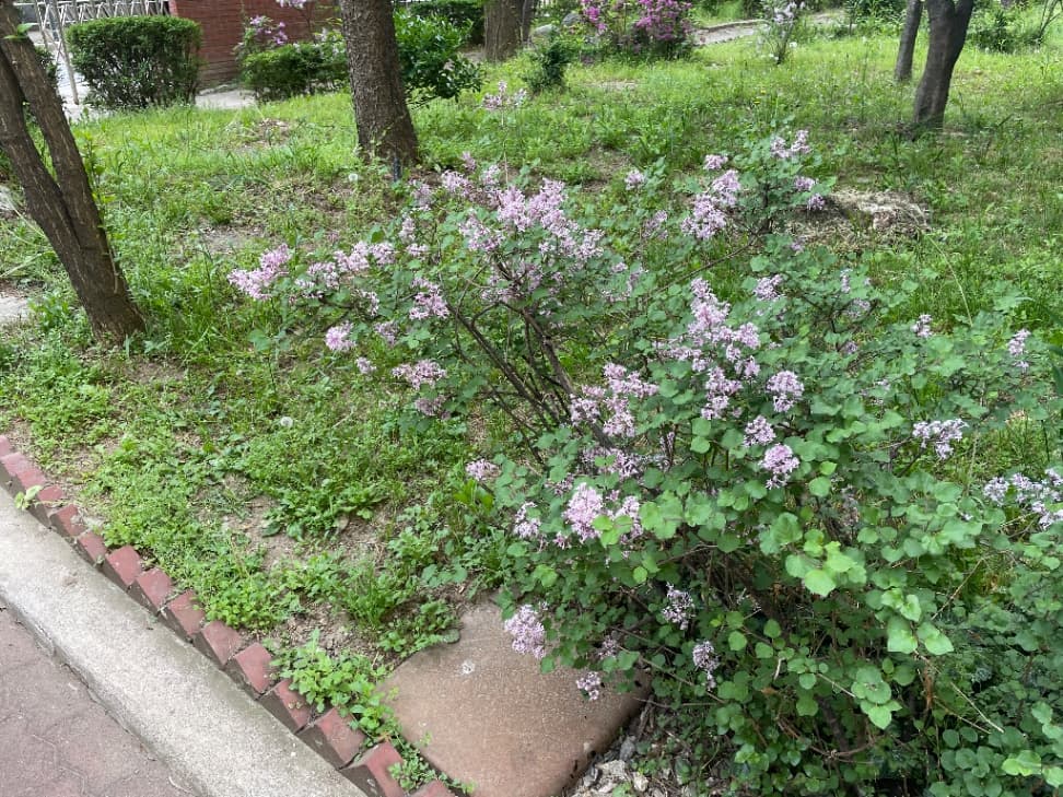 ZAIIT - 명일현대아파트에서 공유된 사진 2